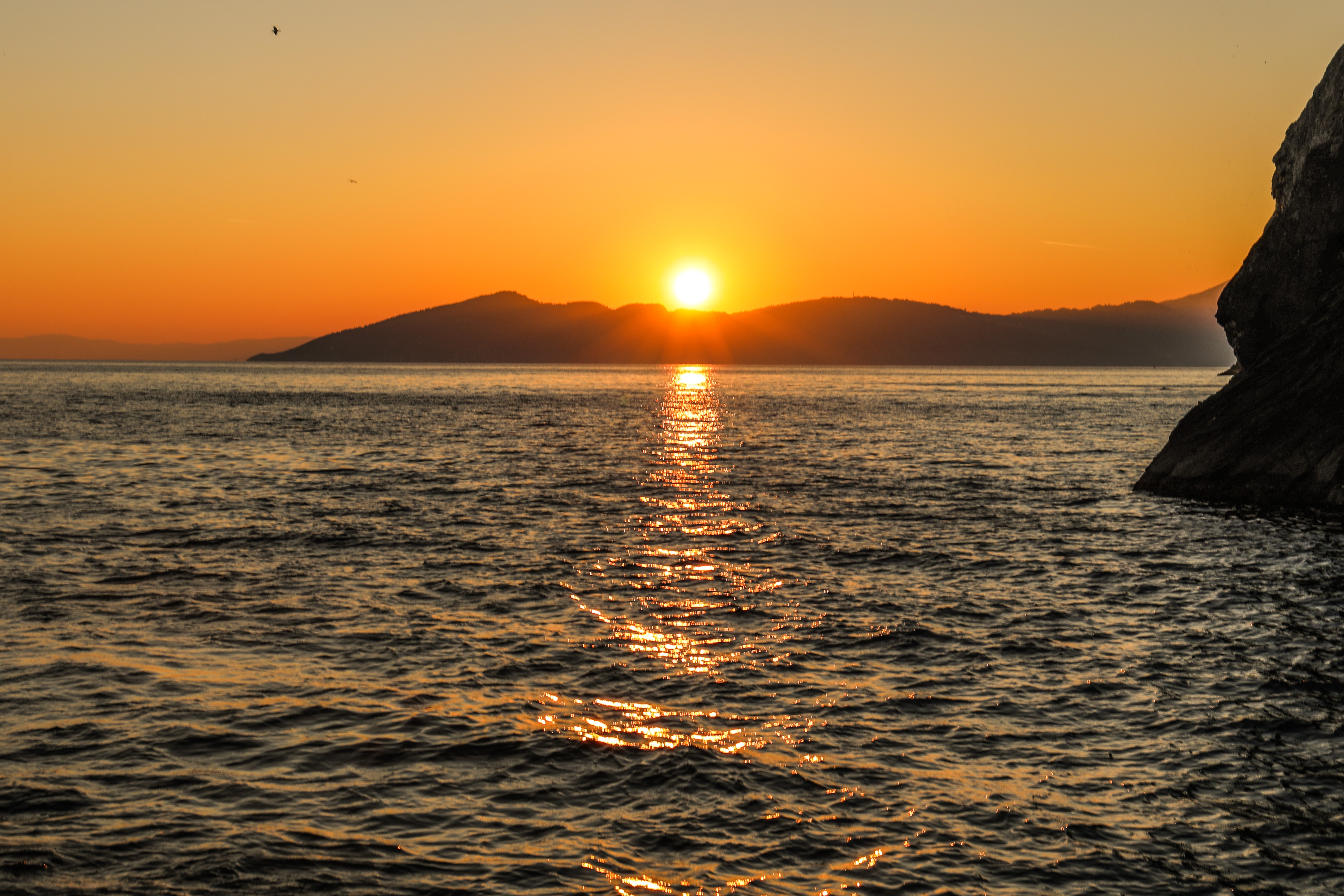 Morning sun rising behind me, Image